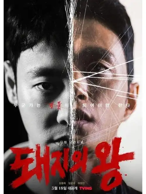 麻花影视 背着善宰跑 高清在线观看